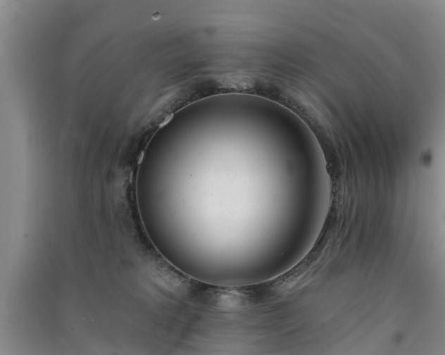 X0000091560229200708171332