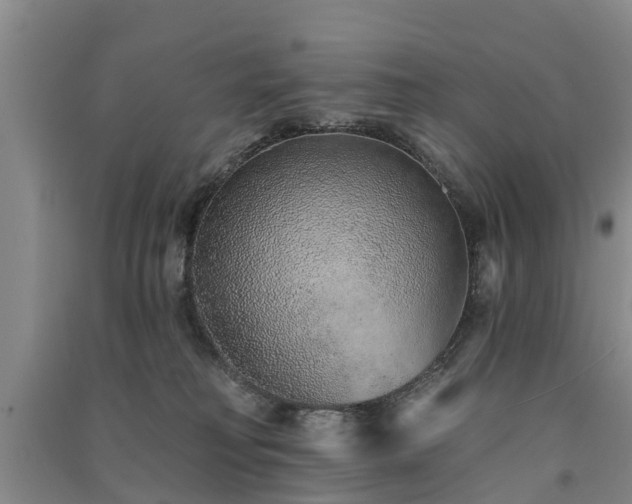 X0000091560230200708171332