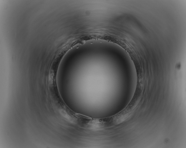 X0000091560231200708171332