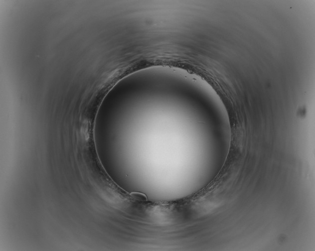 X0000091560232200708171332