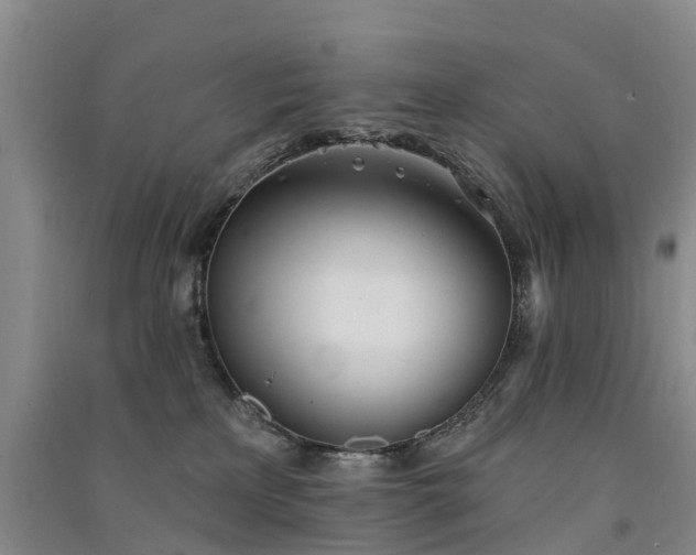 X0000091560233200708171332