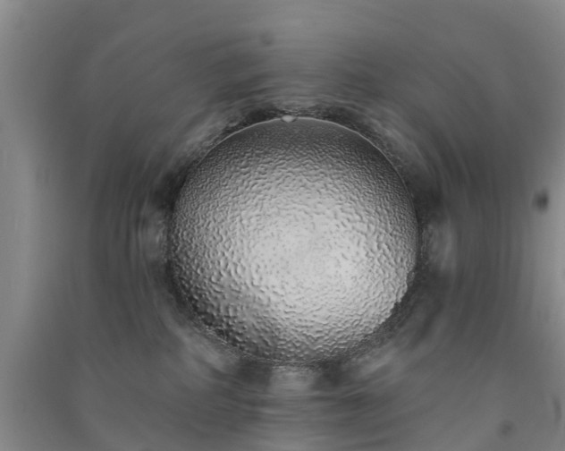 X0000091560234200708171332