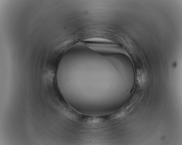 X0000091560235200708171332