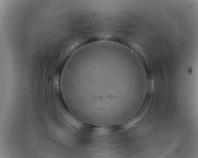 X0000091560238200708171332