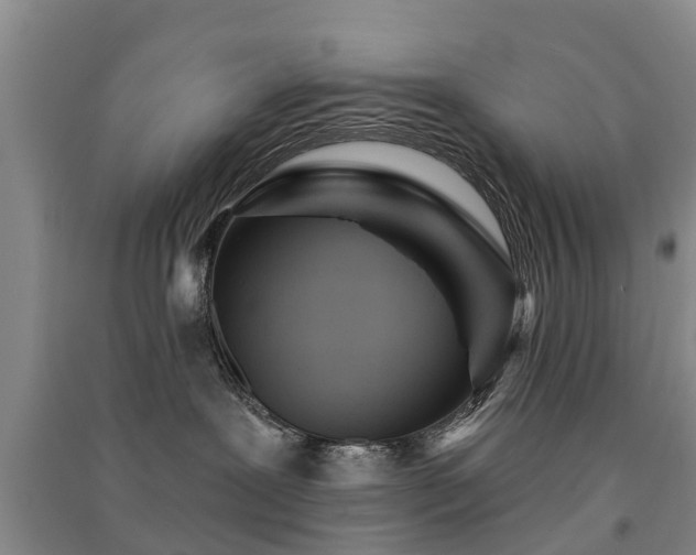 X0000091560239200708171332