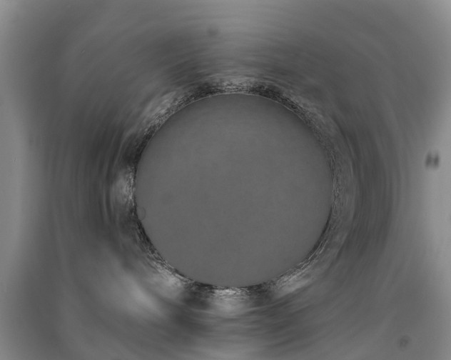 X0000091560240200708171332