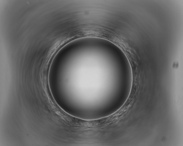 X0000091560241200708171331