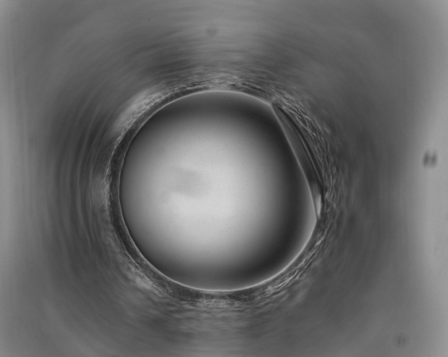 X0000091560242200708171331