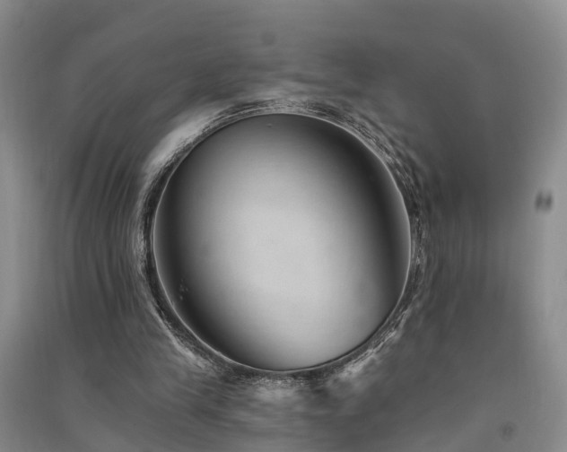 X0000091560245200708171331