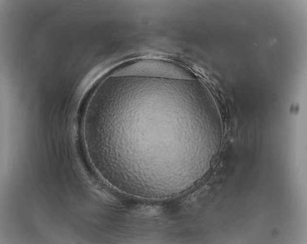 X0000091560247200708171331