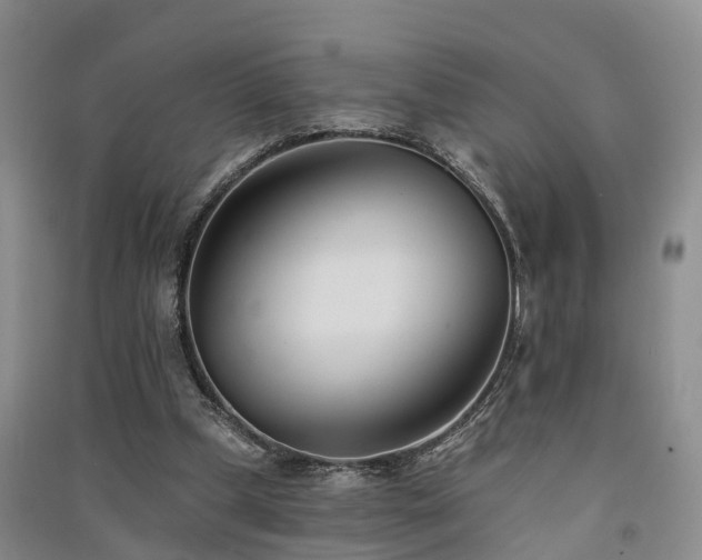 X0000091560249200708171331