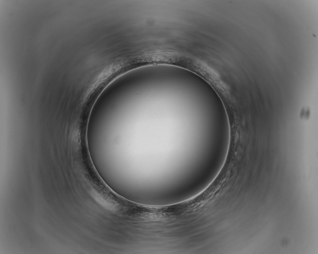 X0000091560250200708171331