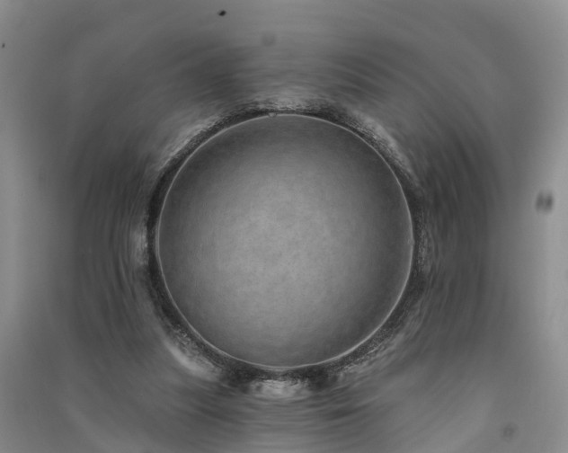 X0000091560251200708171331