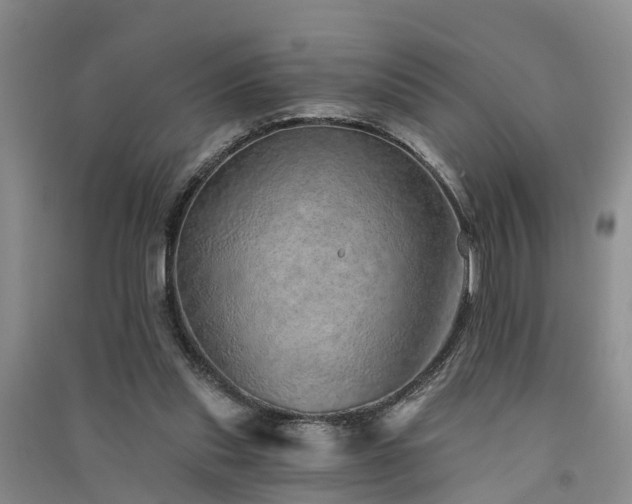 X0000091560253200708171331