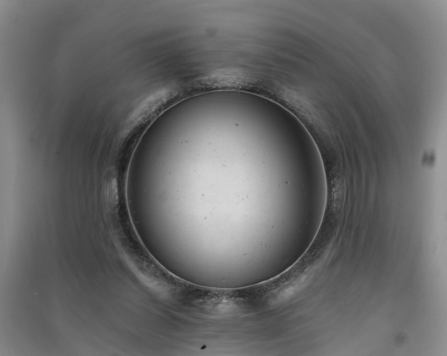 X0000091560254200708171331