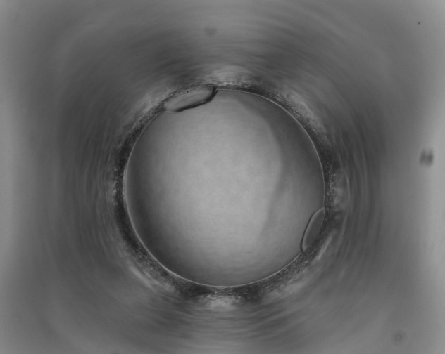 X0000091560255200708171331