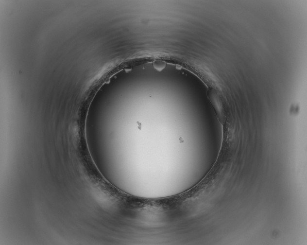 X0000091560256200708171331