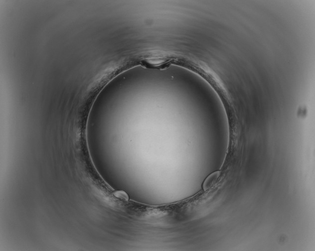 X0000091560257200708171331