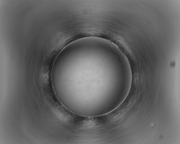 X0000091560259200708171332