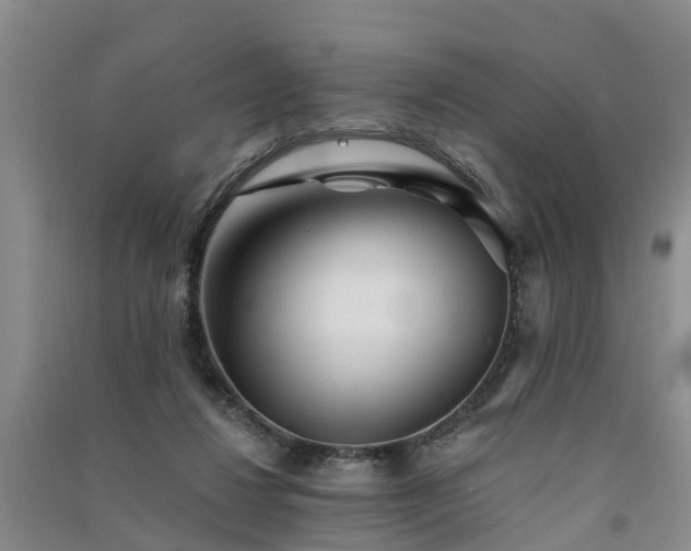 X0000091560260200708171332