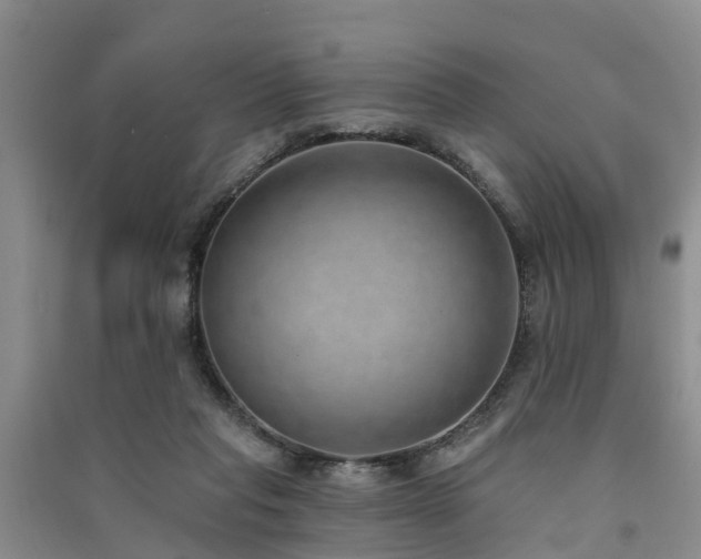 X0000091560261200708171332