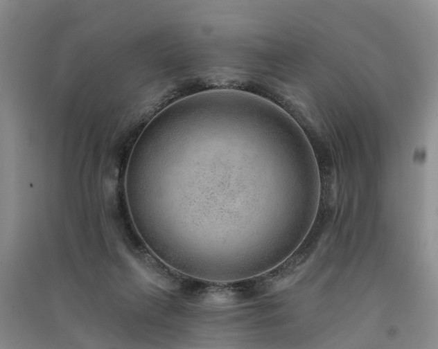 X0000091560263200708171332