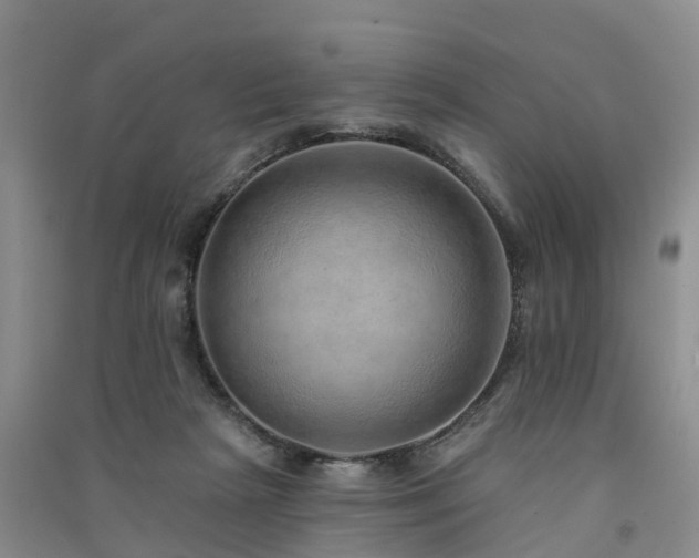 X0000091560265200708171332