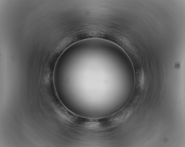 X0000091560266200708171332