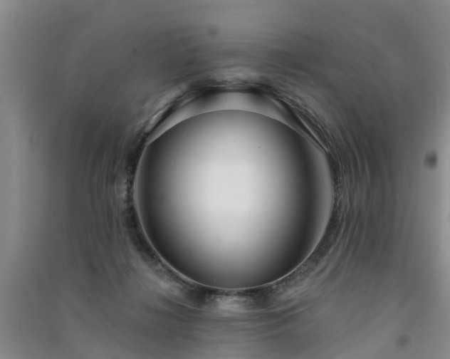 X0000091560268200708171332