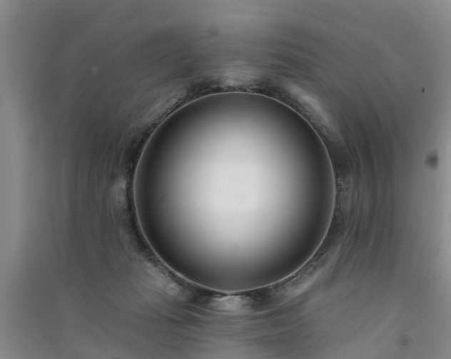 X0000091560269200708171332