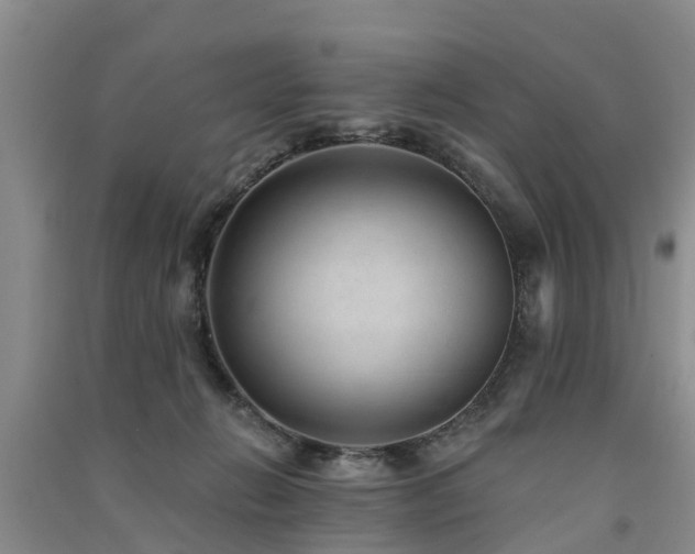 X0000091560270200708171332