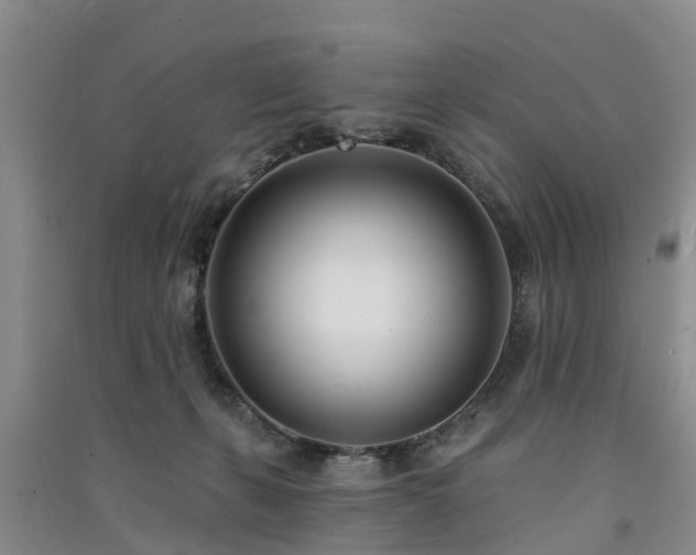 X0000091560271200708171332