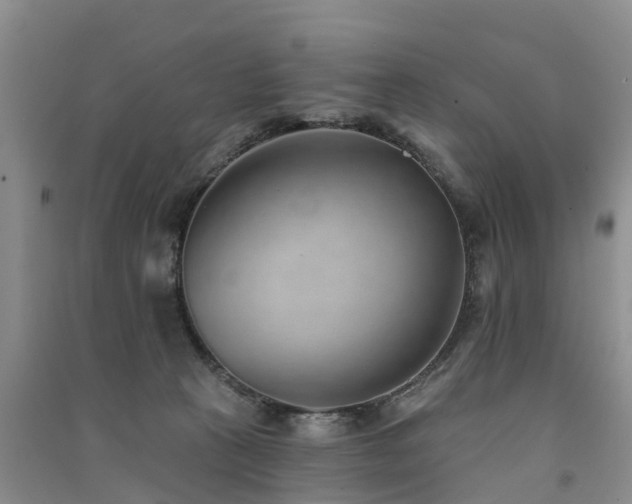 X0000091560273200708171332