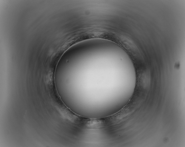 X0000091560274200708171332