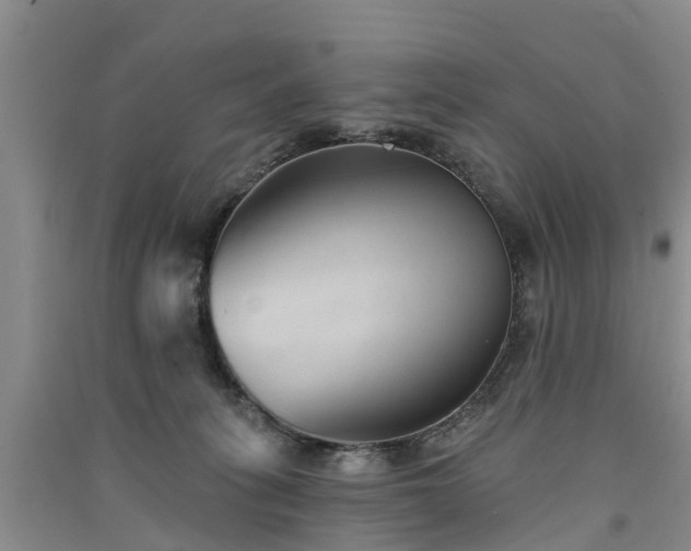 X0000091560275200708171332