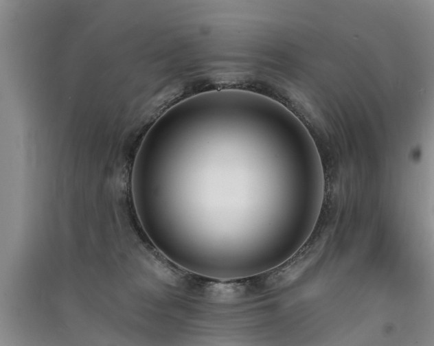 X0000091560277200708171332