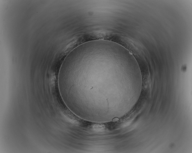 X0000091560279200708171332