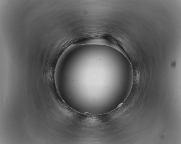 X0000091560280200708171332