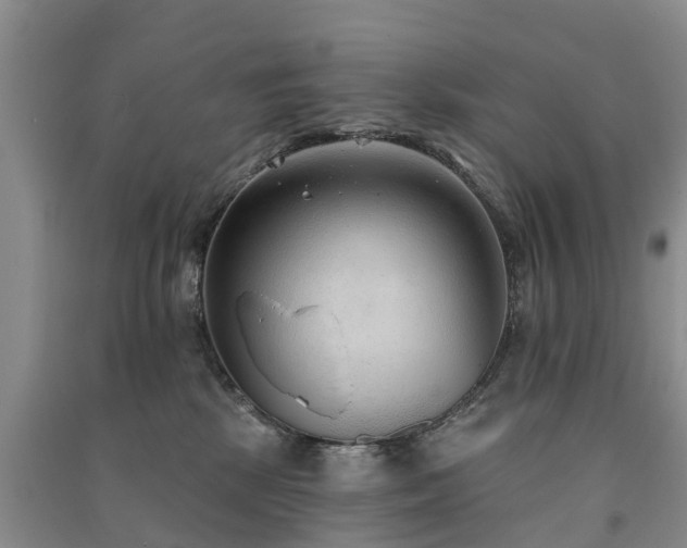 X0000091560281200708171332