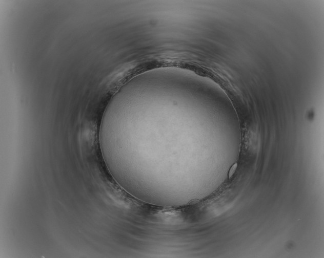 X0000091560283200708171332