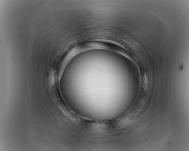 X0000091560284200708171332