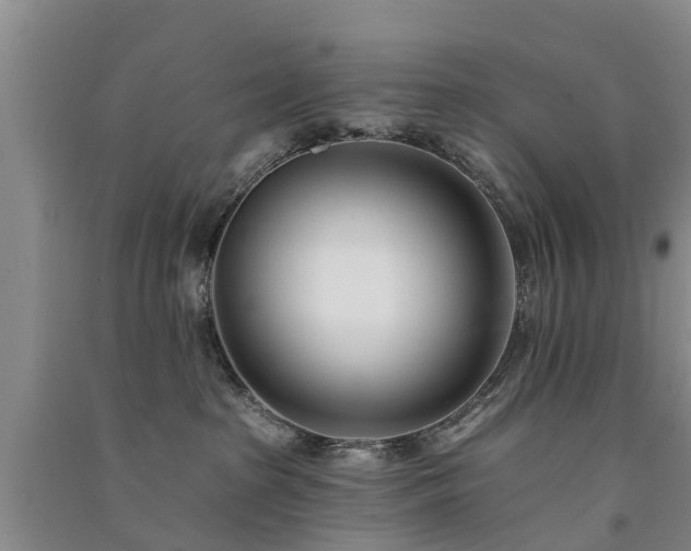 X0000091560285200708171332