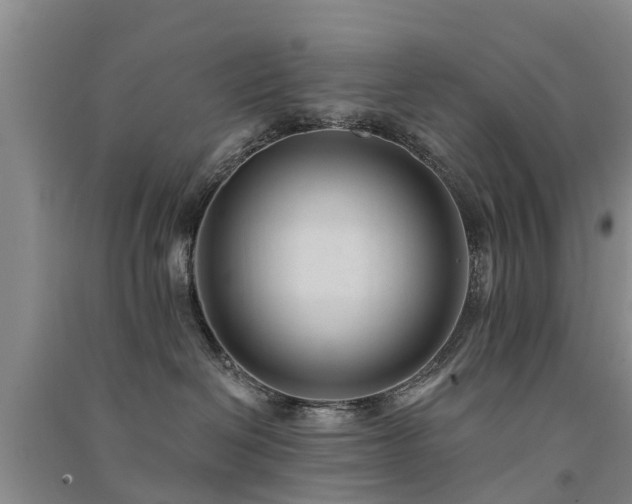 X0000091560286200708171332