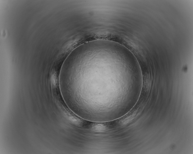 X0000091560287200708171332