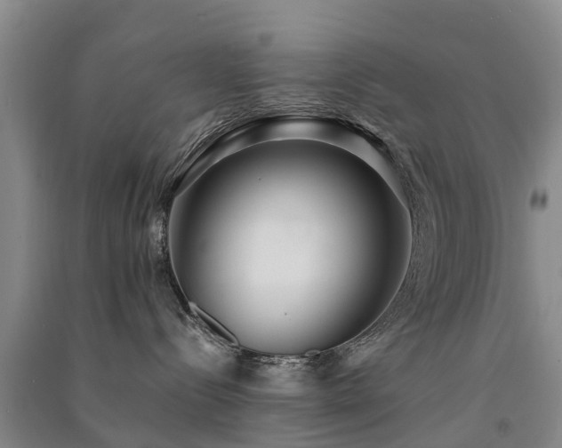 X0000091560288200708171332