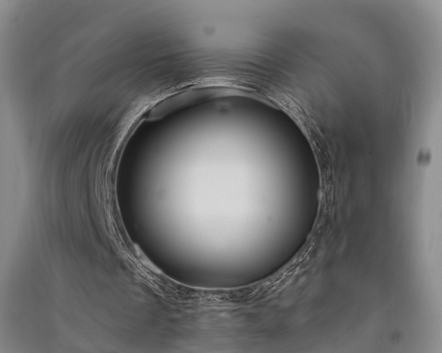 X0000091560289200708171331