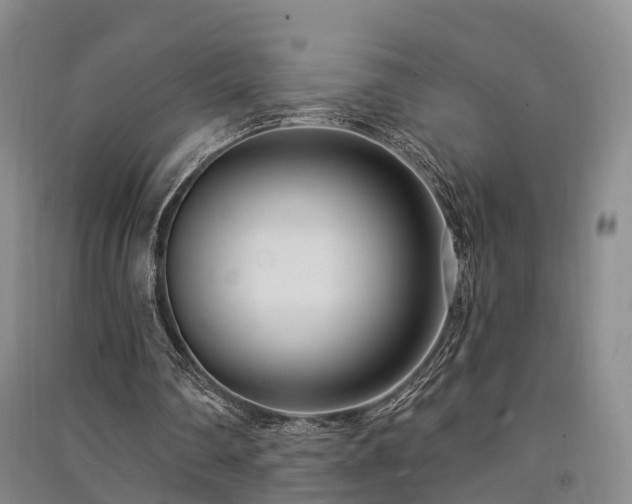 X0000091560290200708171331