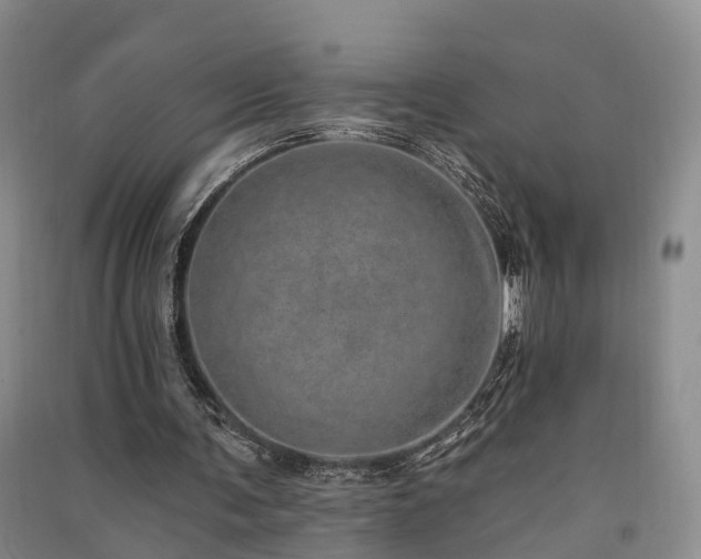 X0000091560291200708171331