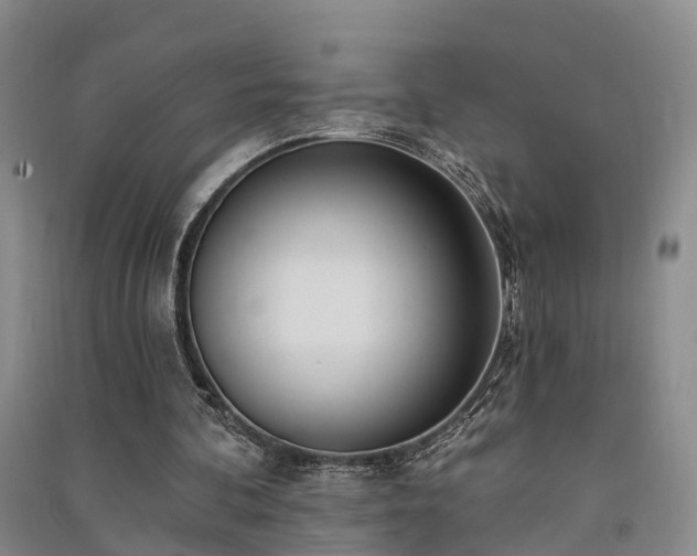 X0000091560292200708171331