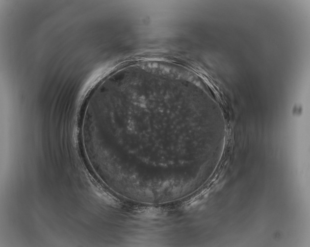 X0000091560293200708171331